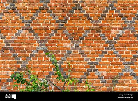 medieval tudor brick mark download|Tudor Brickwork .